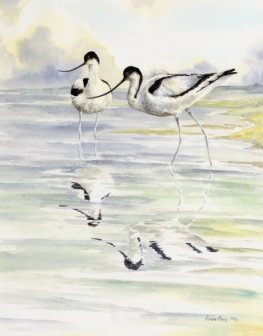 Image of Avocets painting